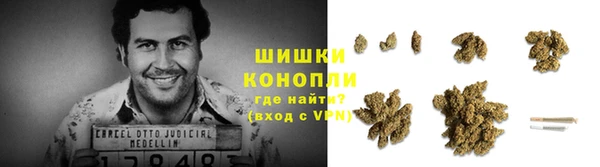 бутират Богданович