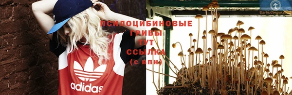a pvp Богородск
