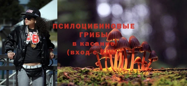 a pvp Богородск
