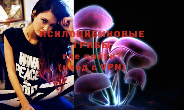 дмт Богородицк