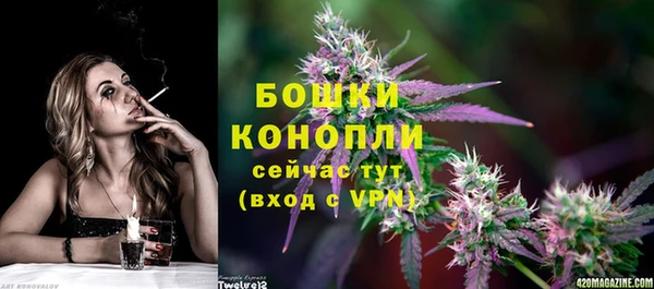 дмт Богородицк